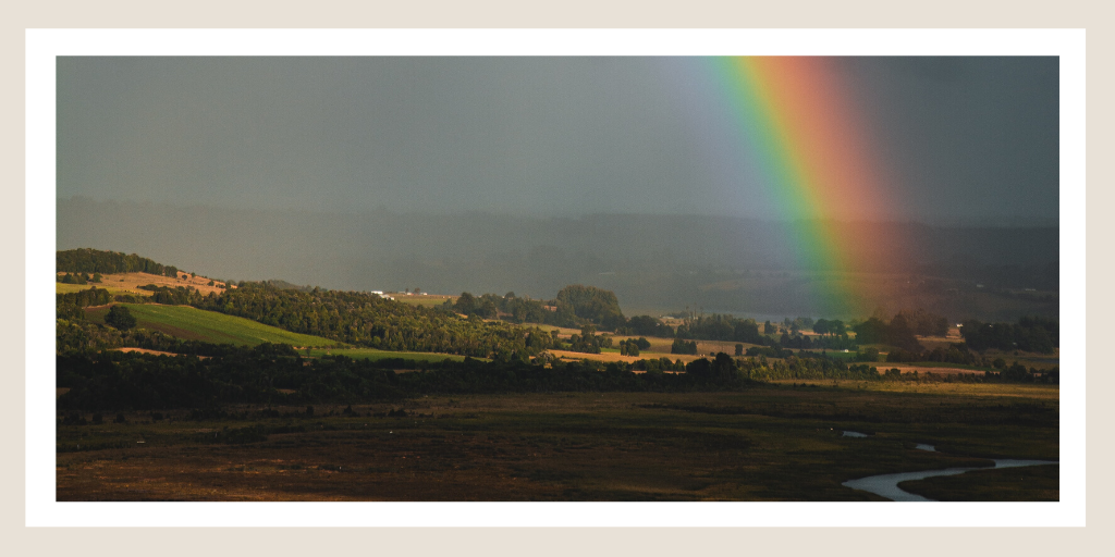 Rainbow